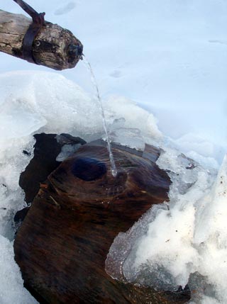 Artesianische Erfrischung: Eiskaltes Quellwasser